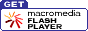 Descargar el Flash Player
